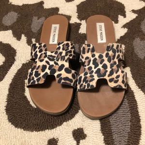 Steve Madden leopard slides 💕💕
